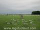 Saint Pauls Lutheran Cemetery, Minneota