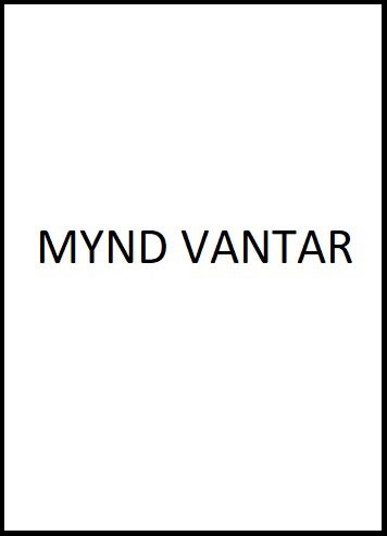 myndvantar1