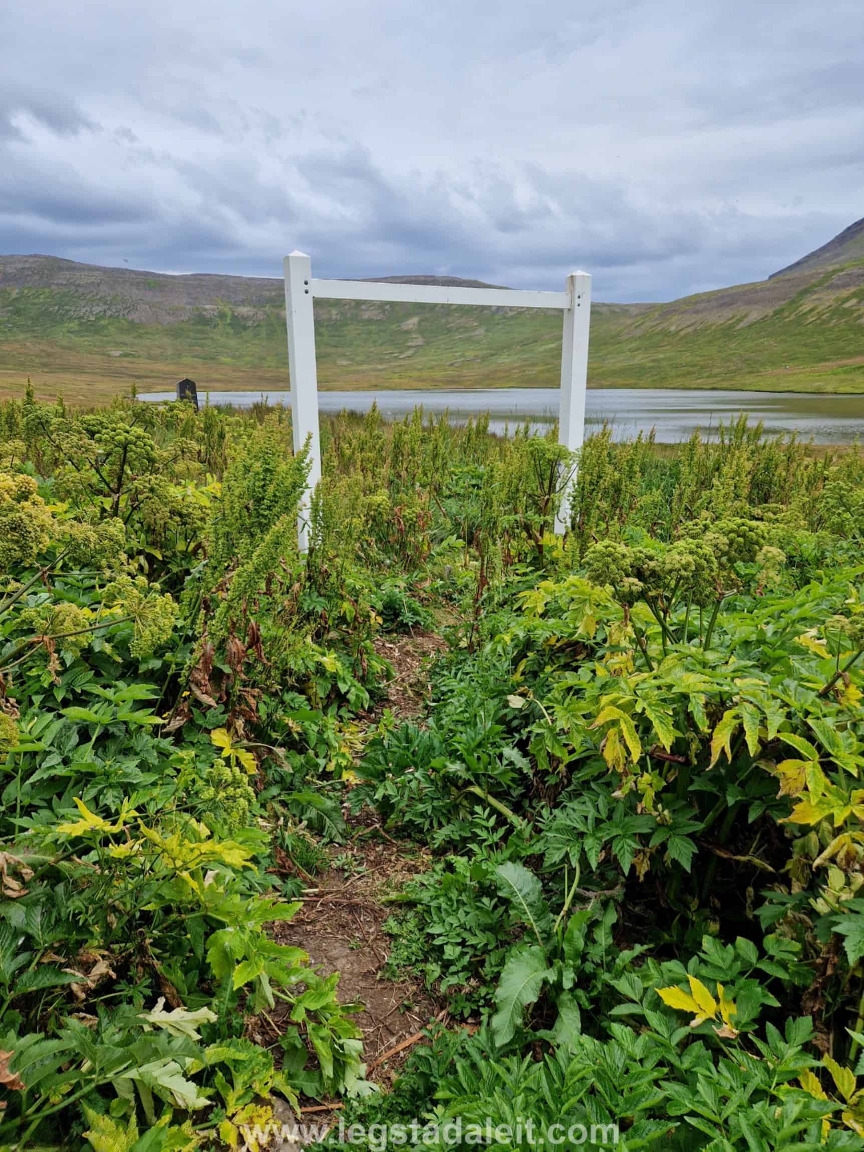 stadarkg-adalvik-20230815_150126