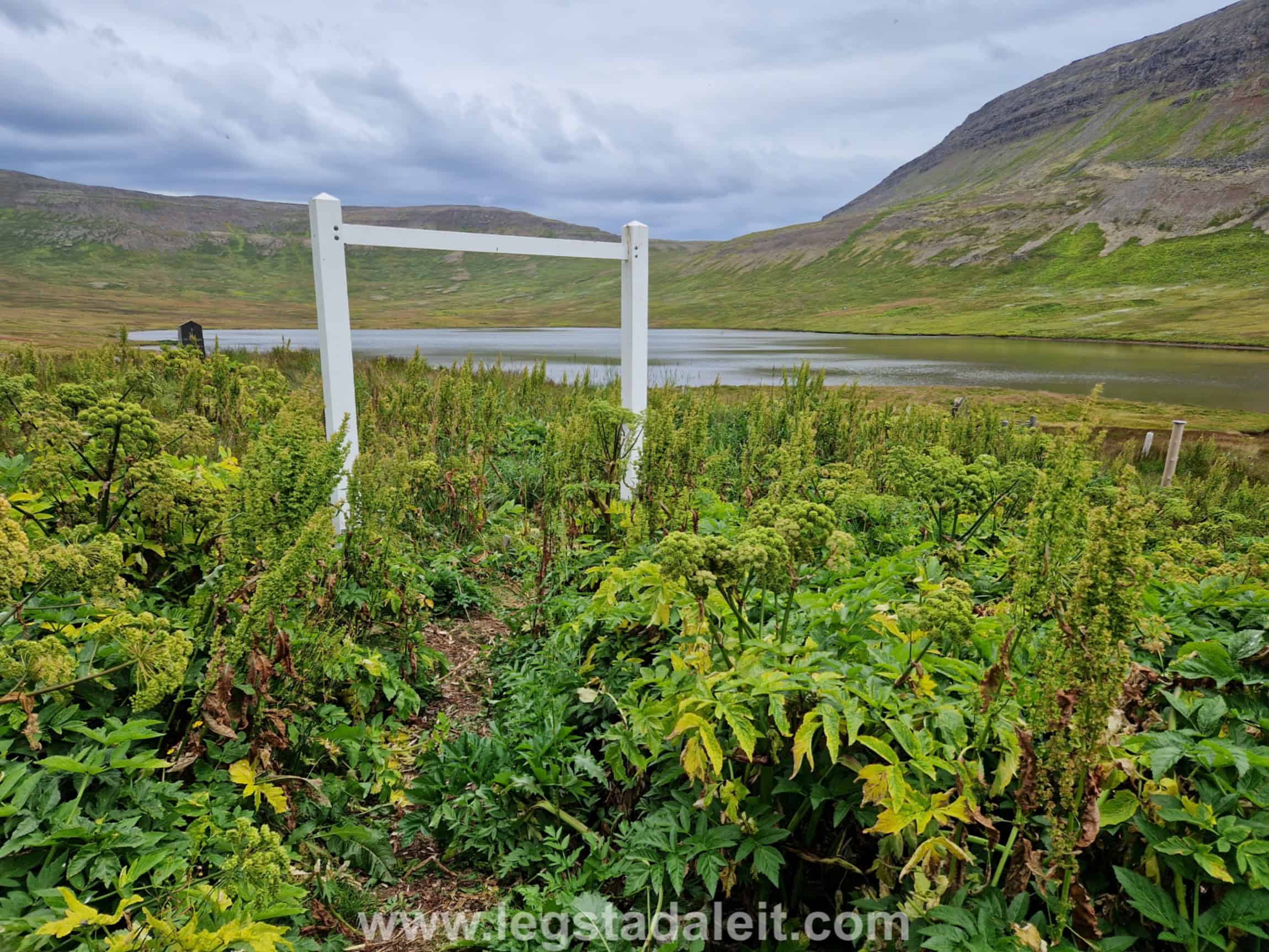 stadarkg-adalvik-20230815_150129