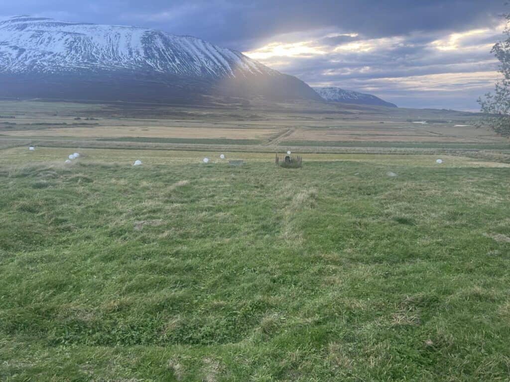 Stóra-Holtskirkjugarður - Mynd: Hjalti Már Bjarnason